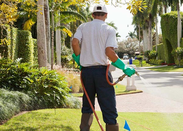 About Warsaw MO Pest Control